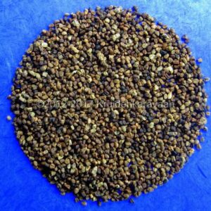 Kardemom Zaadjes - Groene Gepelde Kardamomzaadjes