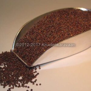 Mosterdzaad - Bruine Mosterdzaadjes