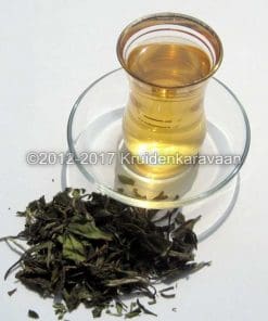 Glas witte Pai Mu Tan thee met losse bladeren, ideaal voor wie Chinese thee kopen wil.